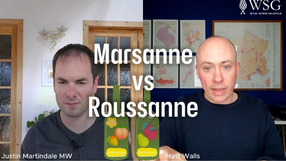 Insider&#039;s Guide: Marsanne vs Roussanne - Great Whites of the Northern Rhône