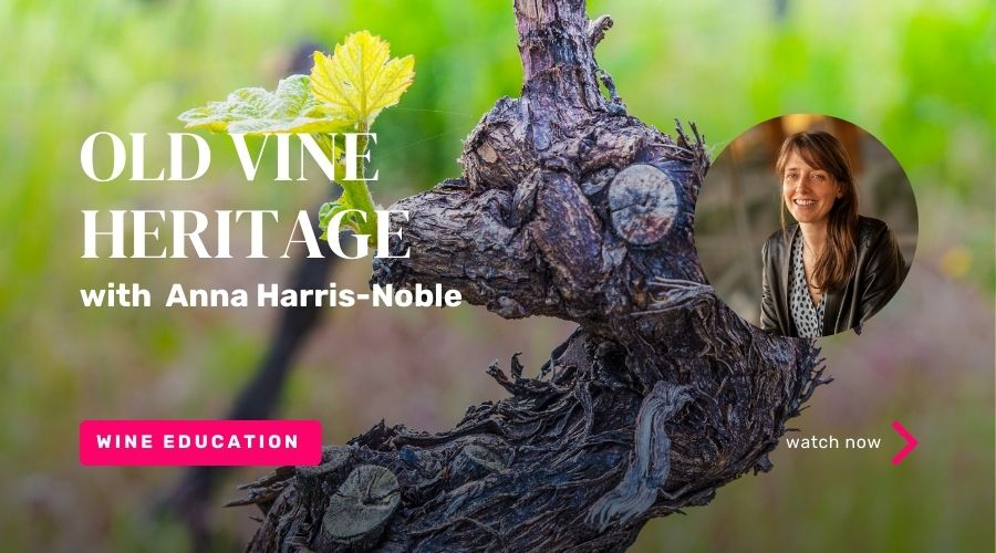 How legislation can help save old vine heritage: The case of Spain