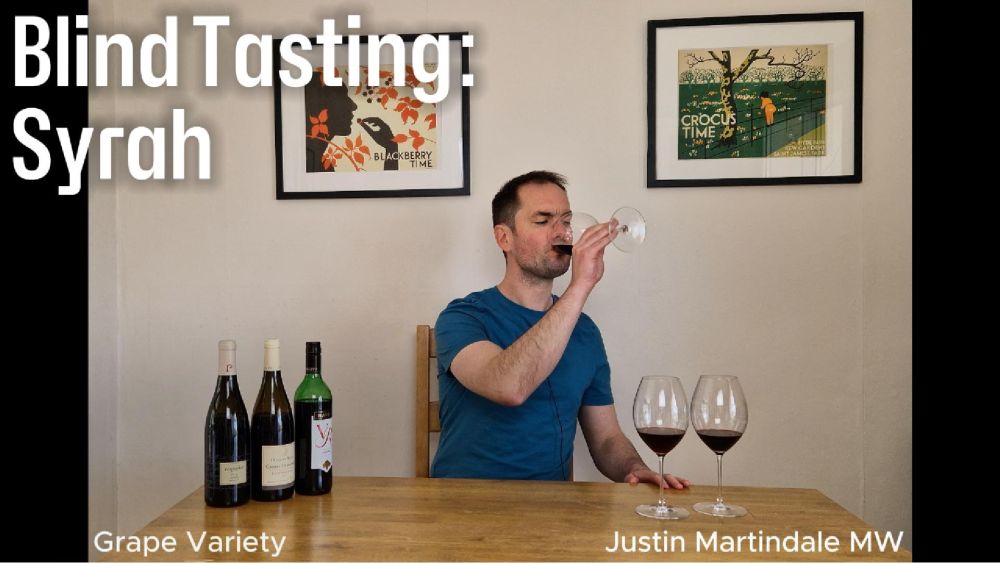 Blind Tasting: Syrah