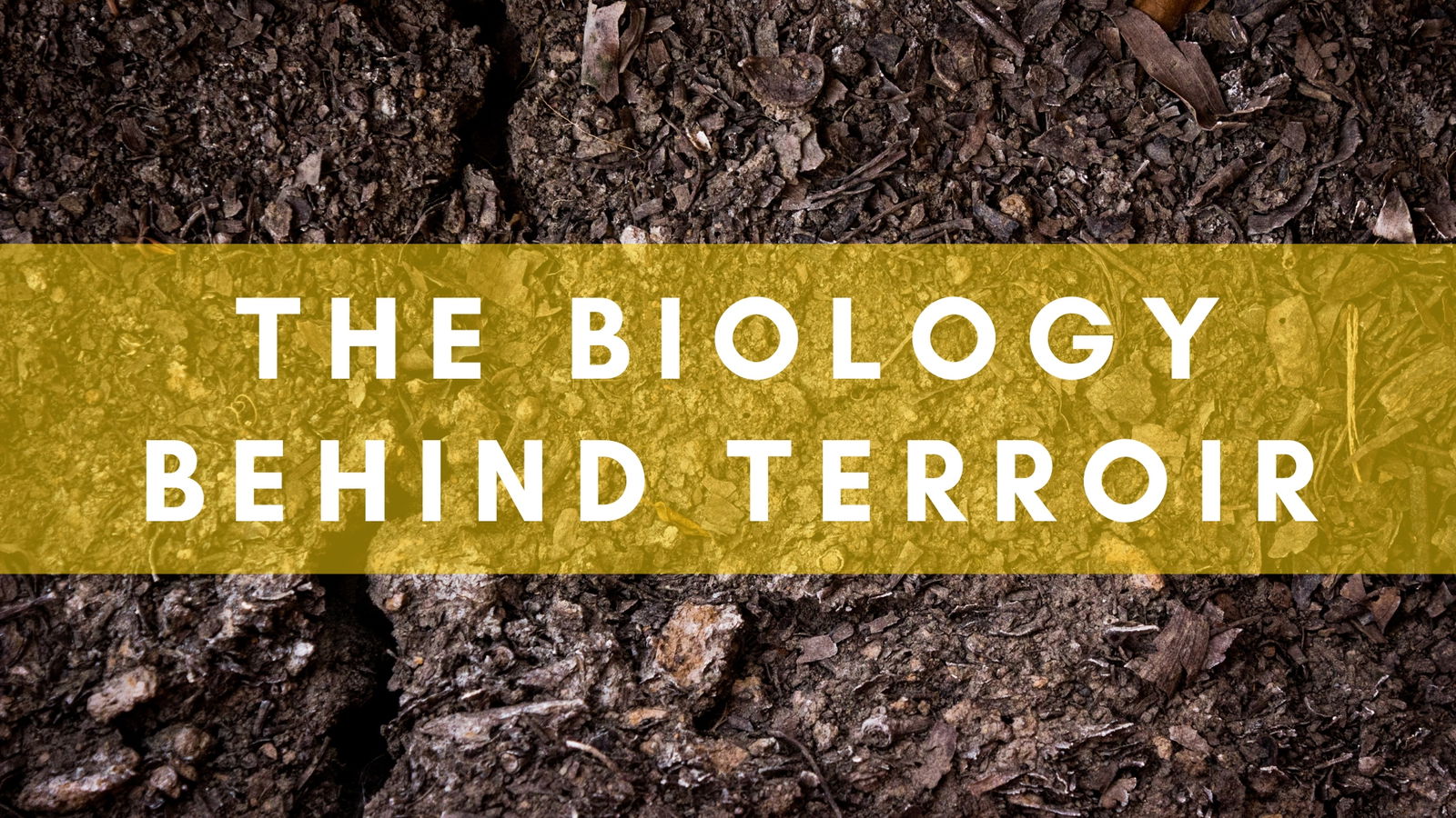 The Biology Behind Terroir: Microbes, Soil and the Impact on Vines